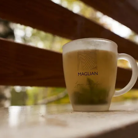 Maglian Campus Divcibare