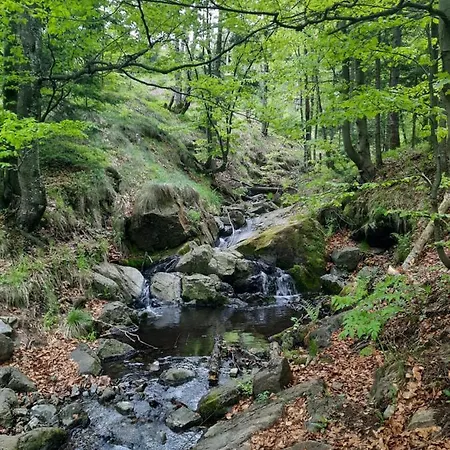 Hotel Maglian Campus *