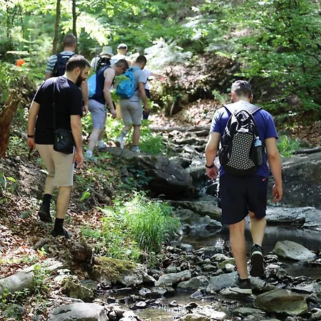 Maglian Forest Retreat 酒店 *