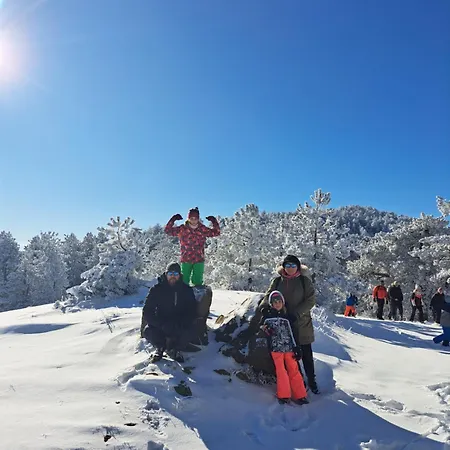 Maglian Forest Retreat 酒店