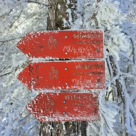 酒店 Maglian Forest Retreat